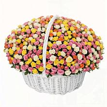 Премиум букет из: Розы в Краснозёрском