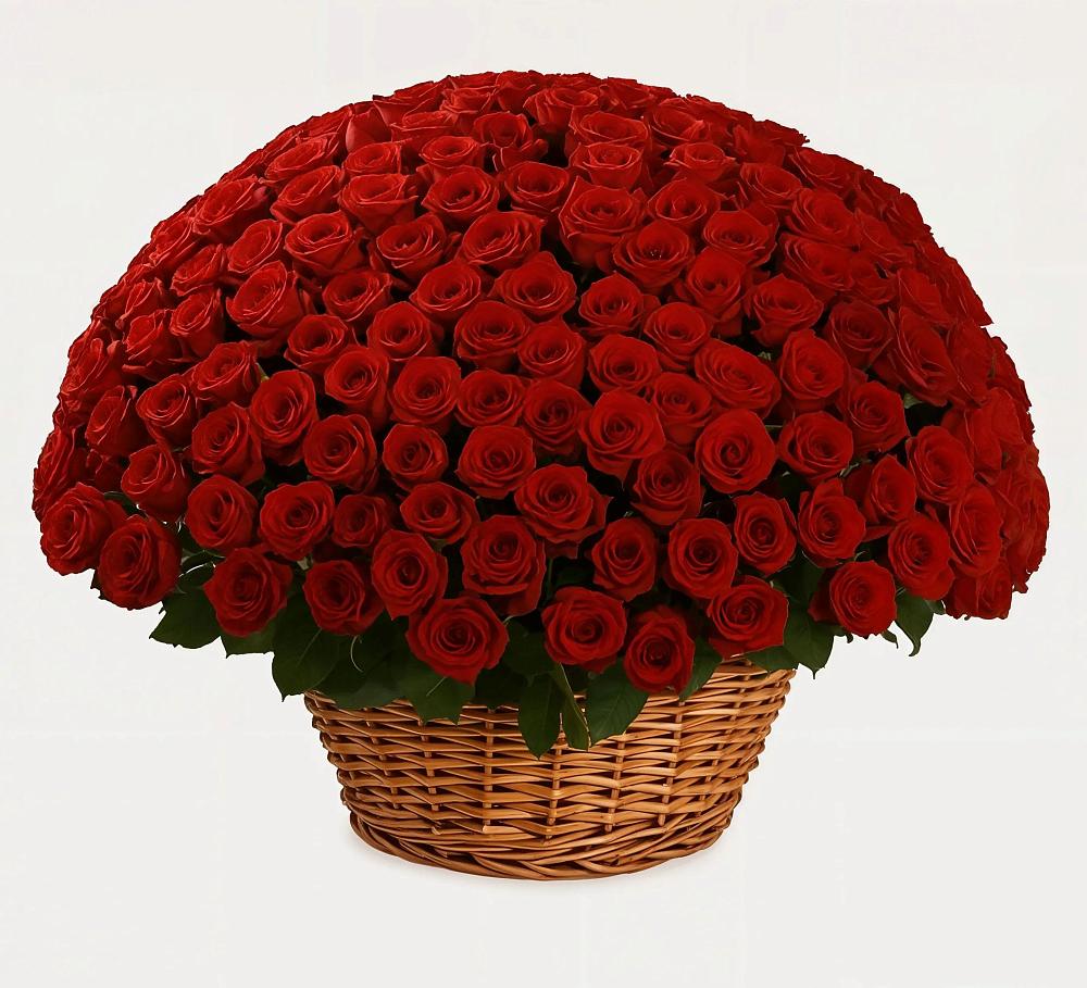 Премиум букет из: Розы в Краснозёрском