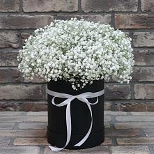 Цветочная композиция из Гипсофила в шляпной коробке в Краснозёрском