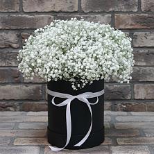 Цветочная композиция из Гипсофила в шляпной коробке в Краснозёрском